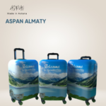 Чехол Aspan Almaty, S